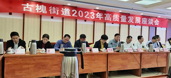 2023年古槐街道高質(zhì)量座談會